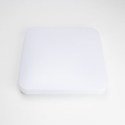 Brilagi - LED lubinis šviestuvas OPAL LED/24W/230V