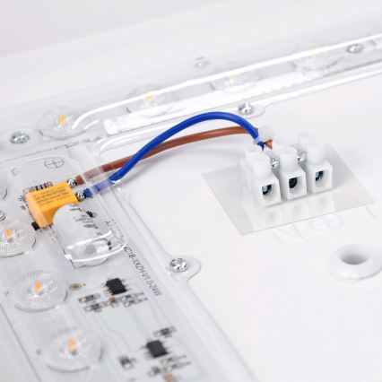 Brilagi - LED lubinis šviestuvas PILANA LED/24W/230V ąžuolas/baltas 32x32 cm