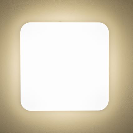 Brilagi - LED lubinis šviestuvas PLAIN LED/24W/230V 3000K