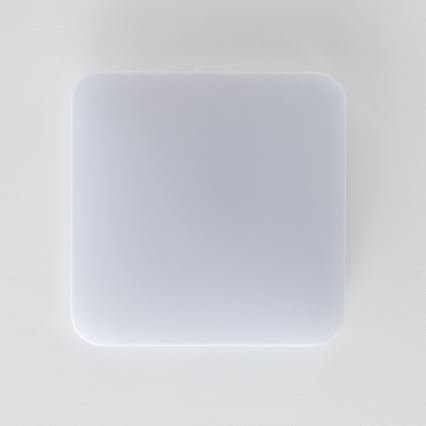 Brilagi - LED lubinis šviestuvas PLAIN LED/24W/230V 3000K