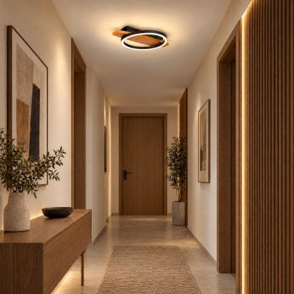 BRILAGI - LED lubinis šviestuvas PLANK LED/16W/230V 4000K 30x40 cm medinis