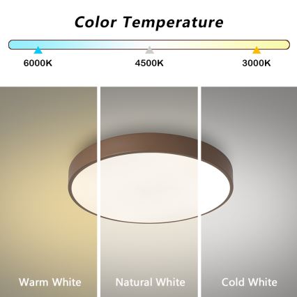 Brilagi - LED lubinis šviestuvas POOL LED/36W/230V 3000/4000/6000K skersmuo 30 cm rudas