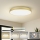 Brilagi - LED lubinis šviestuvas POOL LED/128W/230V 3000/4000/6000K skersmuo 100 cm auksinis
