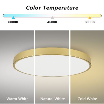 Brilagi - LED lubinis šviestuvas POOL LED/128W/230V 3000/4000/6000K skersmuo 100 cm auksinis