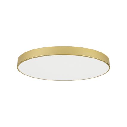 Brilagi - LED lubinis šviestuvas POOL LED/128W/230V 3000/4000/6000K skersmuo 100 cm auksinis