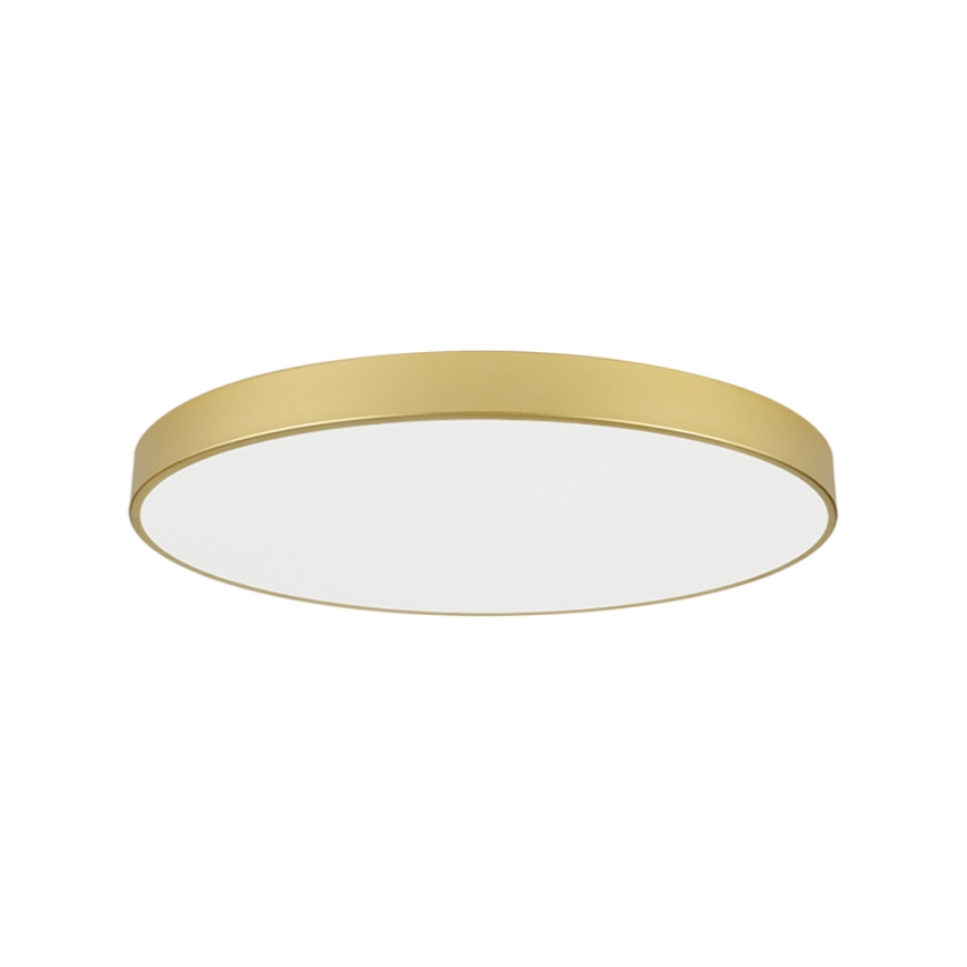 Brilagi - LED lubinis šviestuvas POOL LED/128W/230V 3000/4000/6000K skersmuo 100 cm auksinis