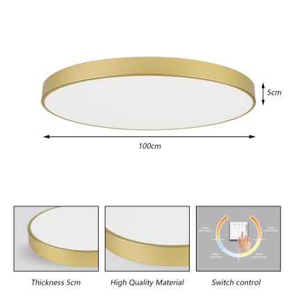 Brilagi - LED lubinis šviestuvas POOL LED/128W/230V 3000/4000/6000K skersmuo 100 cm auksinis