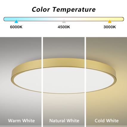 Brilagi - LED lubinis šviestuvas POOL LED/180W/230V 3000/4000/6000K skersm. 120 cm auksinis