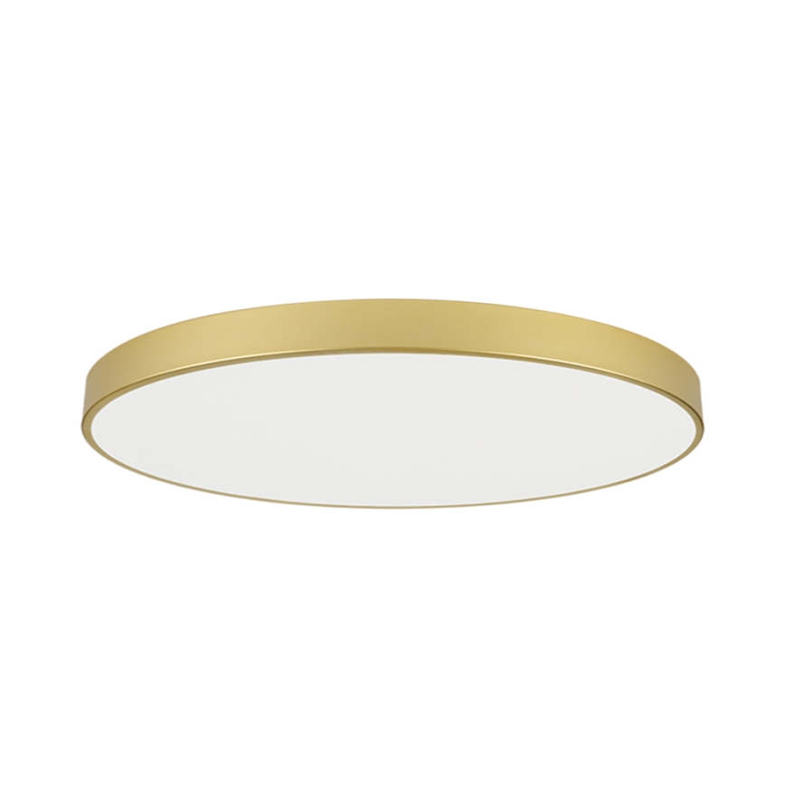 Brilagi - LED lubinis šviestuvas POOL LED/180W/230V 3000/4500/6000K Ø 120 cm auksinis