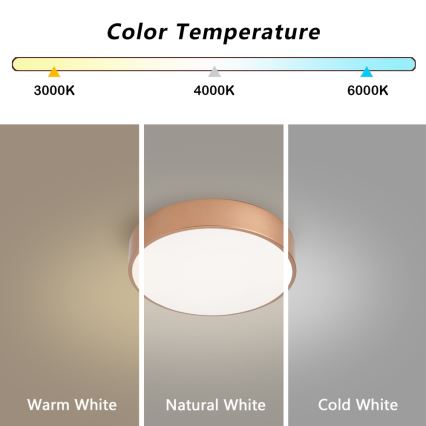 BRILAGI - LED lubinis šviestuvas POOL LED/24W/230V 3000/4000/6000K skersmuo 20 cm vario spalvos