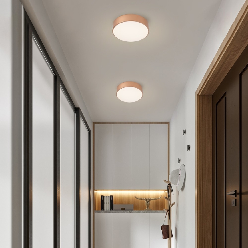 BRILAGI - LED lubinis šviestuvas POOL LED/24W/230V 3000/4000/6000K skersmuo 20 cm vario spalvos