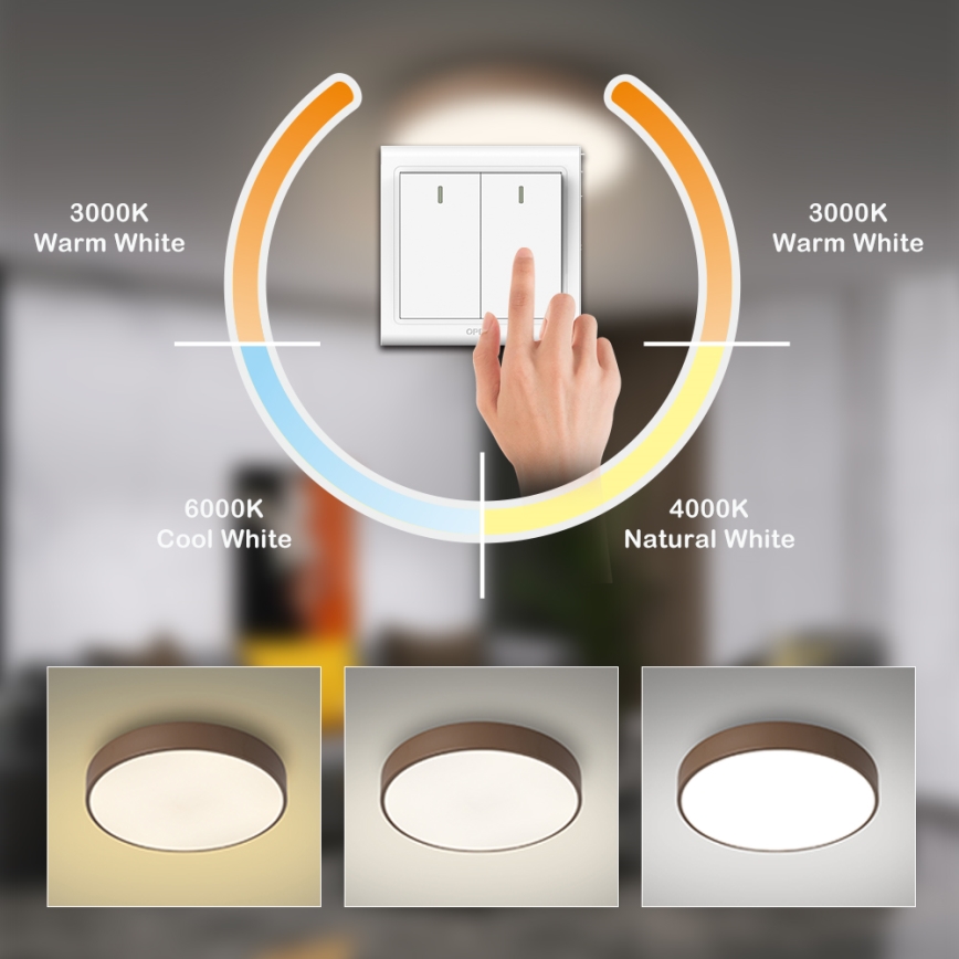 Brilagi - LED lubinis šviestuvas POOL LED/36W/230V 3000/4000/6000K skersmuo 30 cm ruda