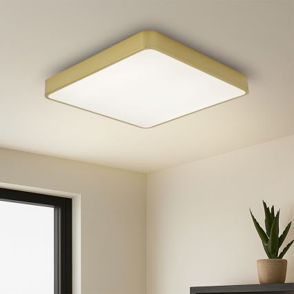 Brilagi - LED lubinis šviestuvas POOL LED/36W/230V 3000/4000/6000K 40x40 cm auksinės spalvos