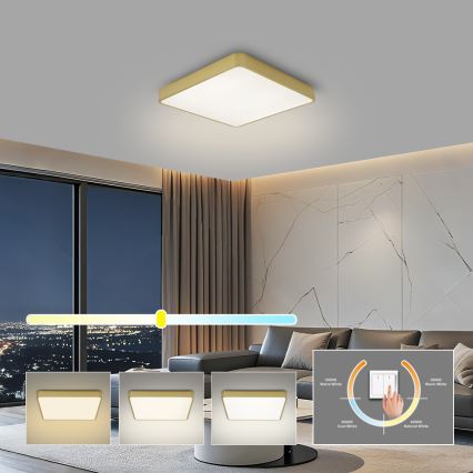 Brilagi - LED lubinis šviestuvas POOL LED/36W/230V 3000/4000/6000K 40x40 cm auksinės spalvos
