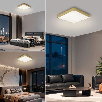 Brilagi - LED lubinis šviestuvas POOL LED/36W/230V 3000/4000/6000K 40x40 cm auksinės spalvos