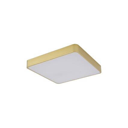 Brilagi - LED lubinis šviestuvas POOL LED/36W/230V 3000/4000/6000K 40x40 cm auksinės spalvos