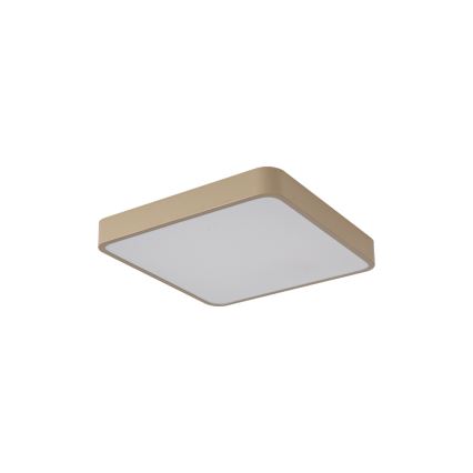 Brilagi - LED lubinis šviestuvas POOL LED/36W/230V 3000/4000/6000K 40x40 cm smėlinis