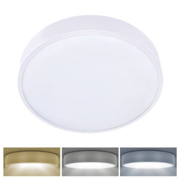 Brilagi - LED lubinis šviestuvas POOL LED/36W/230V 3000/4500/6000K diametras 30 cm balta