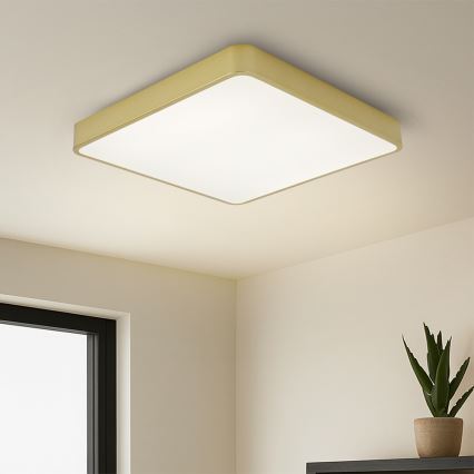Brilagi - LED lubinis šviestuvas POOL LED/48W/230V 3000/4000/6000K 50x50 cm auksinis