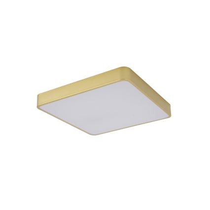 Brilagi - LED lubinis šviestuvas POOL LED/48W/230V 3000/4000/6000K 50x50 cm auksinis