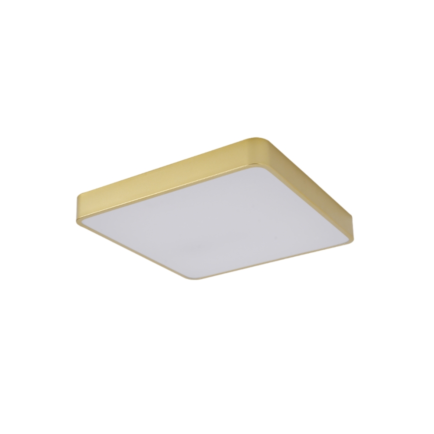 Brilagi - LED lubinis šviestuvas POOL LED/48W/230V 3000/4000/6000K 50x50 cm auksinis