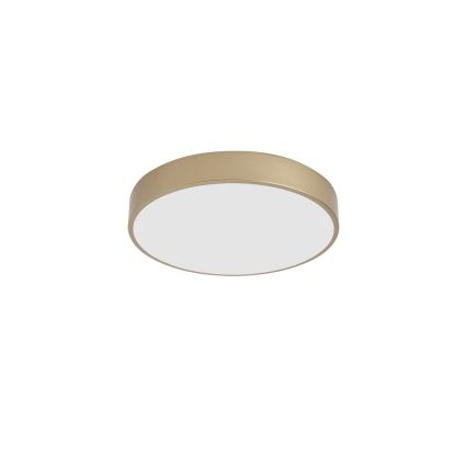 BRILAGI - LED lubinis šviestuvas POOL LED/48W/230V 3000/4000/6000K skersmuo 40 cm auksinis
