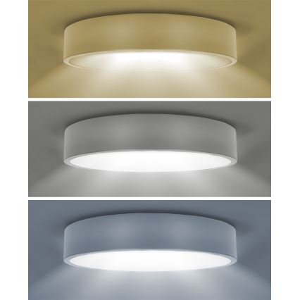 Brilagi - LED lubinis šviestuvas POOL LED/48W/230V 3000/4000/6000K skersmuo 40 cm baltas