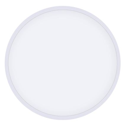 Brilagi - LED lubinis šviestuvas POOL LED/48W/230V 3000/4000/6000K skersmuo 40 cm baltas