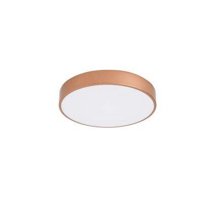 BRILAGI - LED lubinis šviestuvas POOL LED/48W/230V 3000/4000/6000K Ø 40 cm varinis