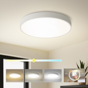 Brilagi - LED lubinis šviestuvas POOL LED/60W/230V 3000/4000/6000K 50 cm baltas