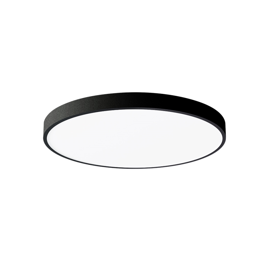 Brilagi - LED lubinis šviestuvas POOL LED/60W/230V 3000/4000/6000K 50 cm