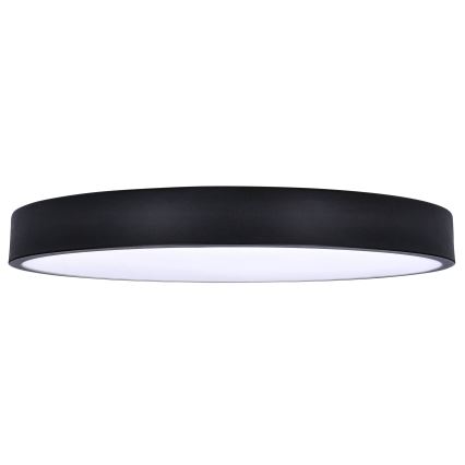 Brilagi - LED lubinis šviestuvas POOL LED/60W/230V 3000/4000/6000K 50 cm