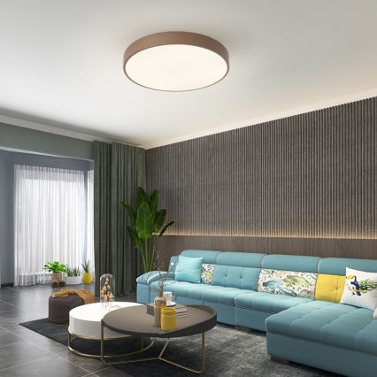 Brilagi - LED lubinis šviestuvas POOL LED/60W/230V 3000/4000/6000K skersmuo 50 cm rudas