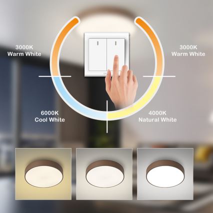 Brilagi - LED lubinis šviestuvas POOL LED/60W/230V 3000/4000/6000K skersmuo 50 cm rudas
