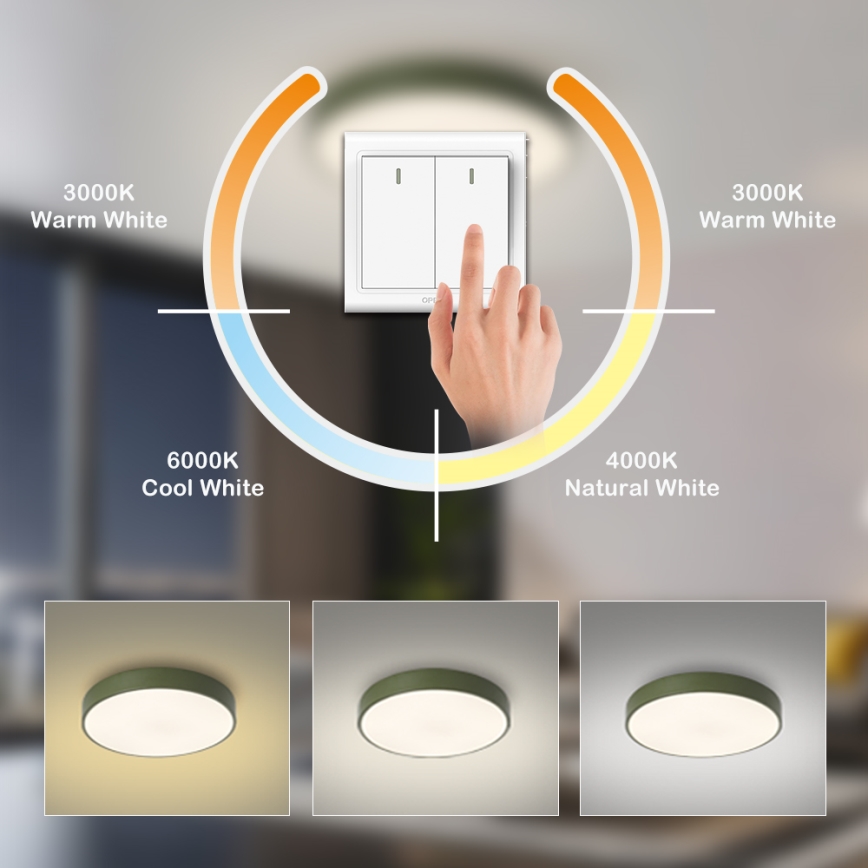 Brilagi - LED lubinis šviestuvas POOL LED/60W/230V 3000/4000/6000K Ø 50 cm žalias