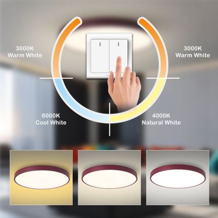 Brilagi - LED lubinis šviestuvas POOL LED/60W/230V 3000/4000/6000K Ø 60 cm bordo