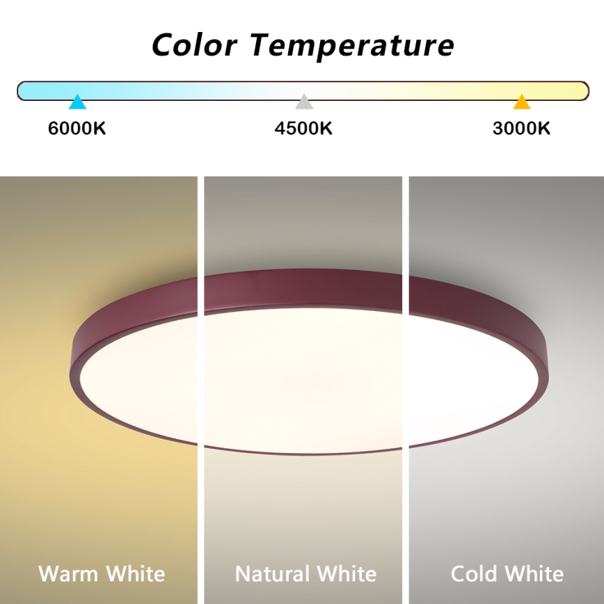 Brilagi - LED lubinis šviestuvas POOL LED/60W/230V 3000/4000/6000K Ø 60 cm bordo