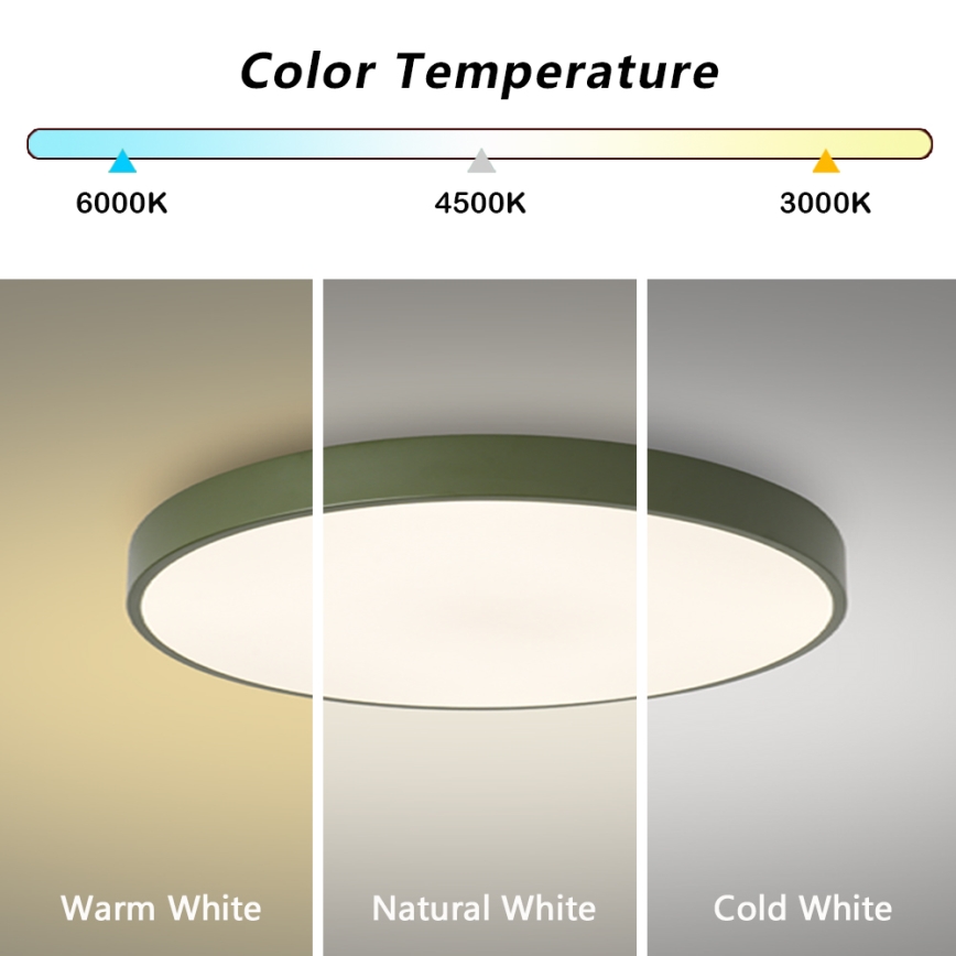 Brilagi - LED lubų šviestuvas POOL, LED/60W/230V, 3000/4000/6000K, skersmuo 60 cm, žalias