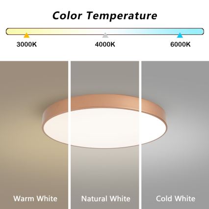 BRILAGI - LED lubinis šviestuvas POOL LED/60W/230V 3000/4000/6000K skersmuo 60 cm varinis