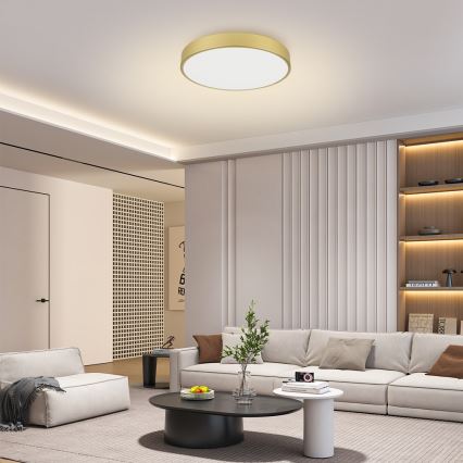 Brilagi - LED lubinis šviestuvas POOL LED/60W/230V 3000/4000/6000K skersmuo 60 cm auksinis