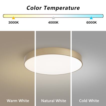 BRILAGI - LED lubinis šviestuvas POOL LED/60W/230V 3000/4000/6000K Ø 50 cm auksinis
