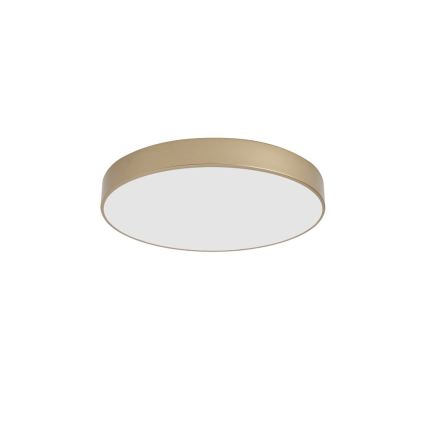 BRILAGI - LED lubinis šviestuvas POOL LED/60W/230V 3000/4000/6000K Ø 50 cm auksinis