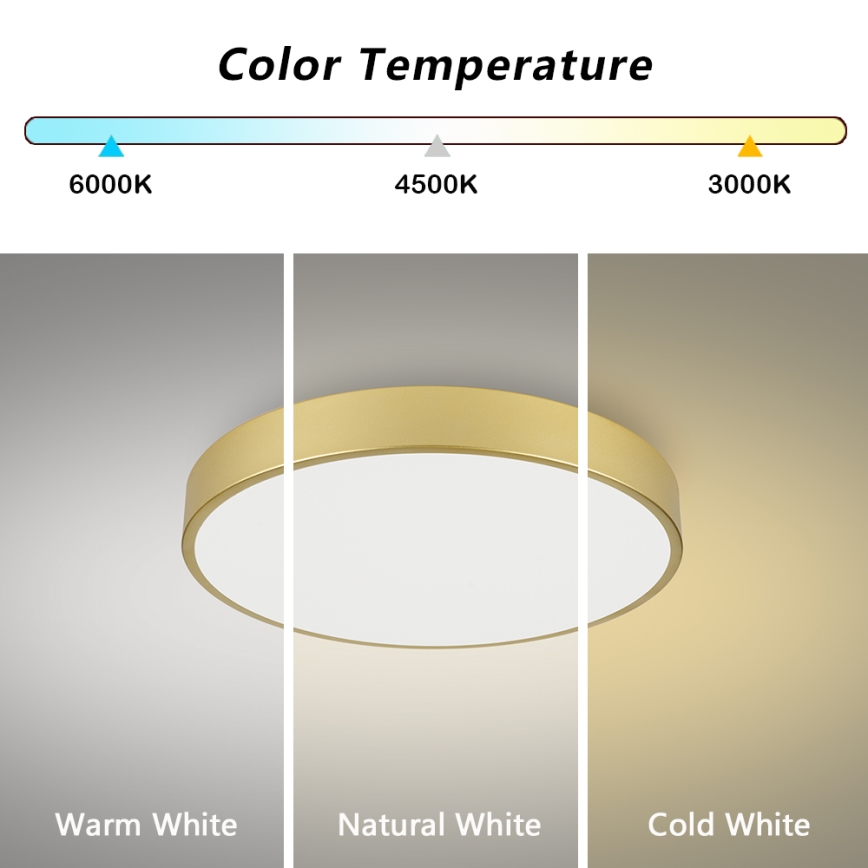 Brilagi - LED lubinis šviestuvas POOL LED/60W/230V 3000/4500/6000K Ø 60 cm auksinis