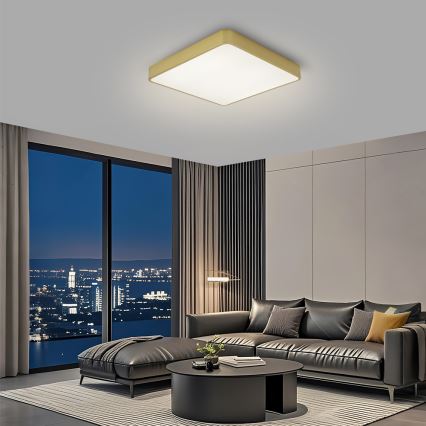 BRILAGI - LED lubinis šviestuvas POOL SQUARE LED/48W/230V 3000/4000/6000K 50x50 cm auksinis