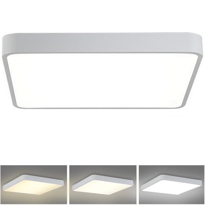 Brilagi - LED lubinis šviestuvas POOL SQUARE LED/48W/230V 3000/4500/6000K 50x50 cm baltas