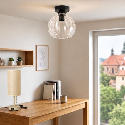 BRILAGI - LED lubinis šviestuvas RETRO GLASS 1xE27/60W/230V skersmuo 25 cm juodas/skaidrus