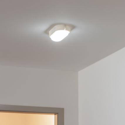Brilagi - LED Lubinis šviestuvas  SIMA LED/12W/230V IP65 balta