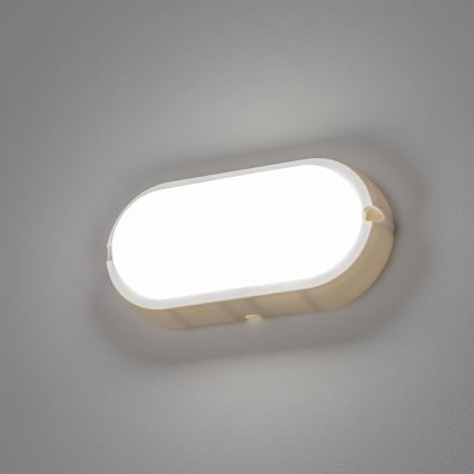 Brilagi - LED Lubinis šviestuvas  SIMA LED/12W/230V IP65 balta