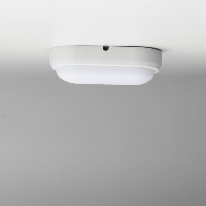 Brilagi - LED Lubinis šviestuvas  SIMA LED/12W/230V IP65 balta