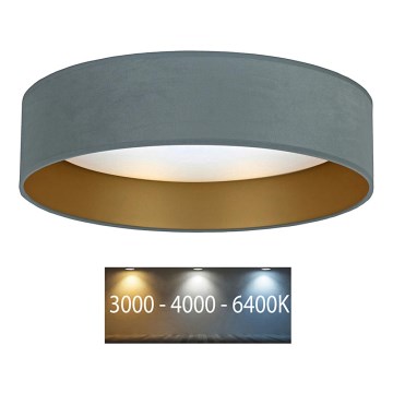 Brilagi - LED Lubinis šviestuvas VELVET LED/12W/230V d. 30 cm 3000K/4000K/6400K mėtinė/aukso